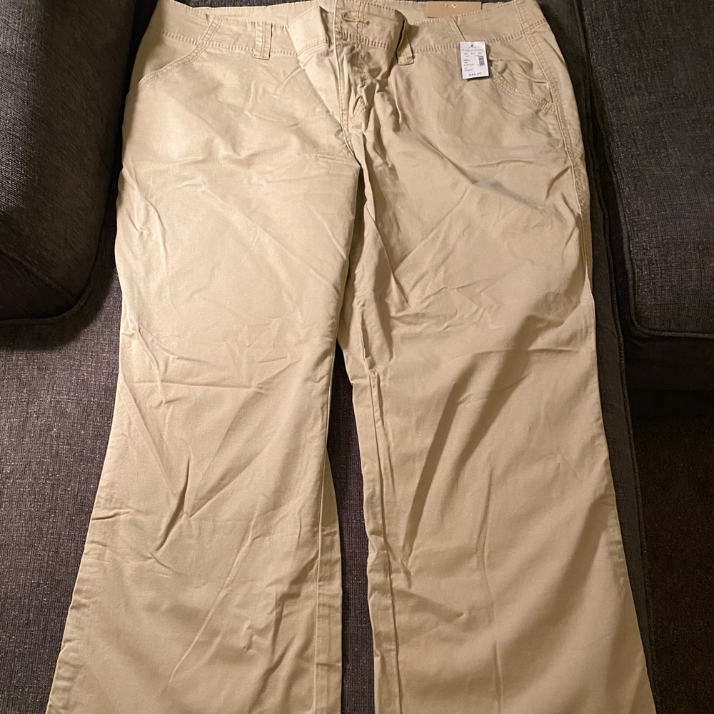 NWT Maurices Pants 20 Short